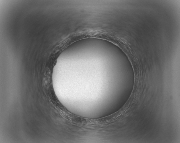 X0000080711349200612150852