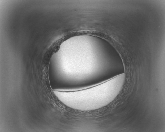 X0000080711351200612150852
