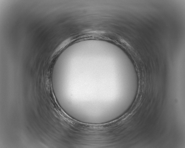X0000080711354200612150852