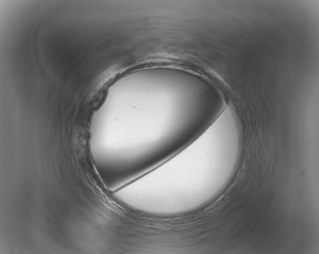 X0000080711355200612150852