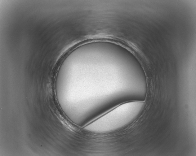 X0000080711356200612150852