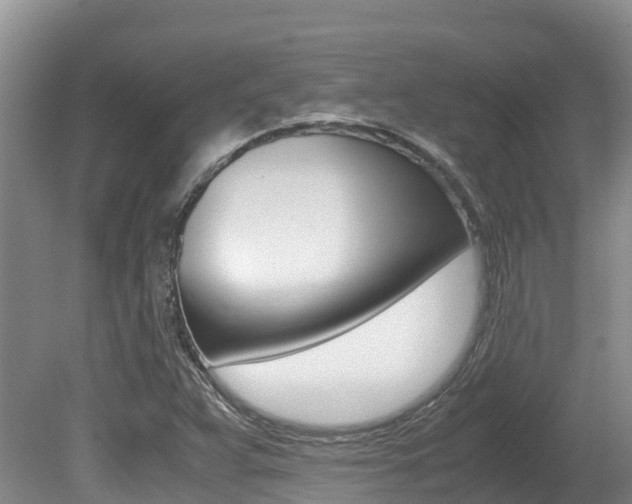 X0000080711359200612150852