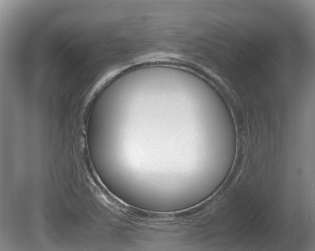 X0000080711363200612150852