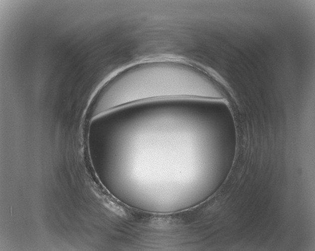 X0000080711364200612150851