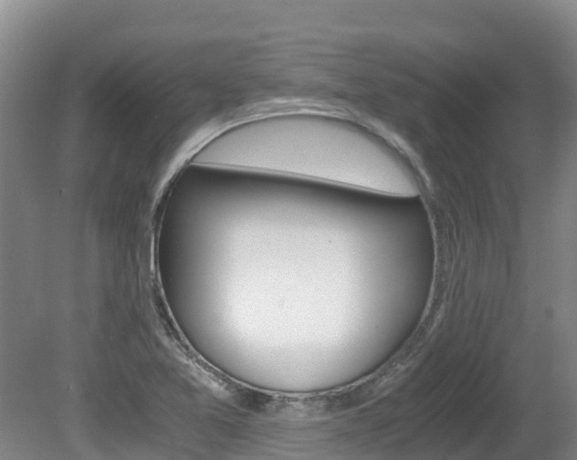 X0000080711365200612150851