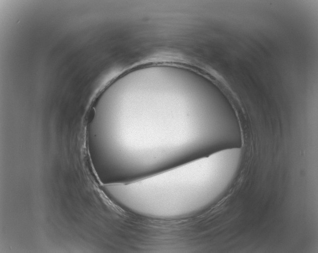 X0000080711366200612150851