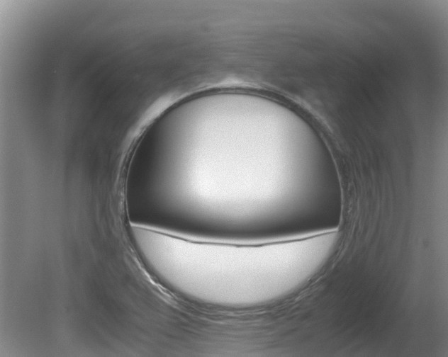 X0000080711367200612150851