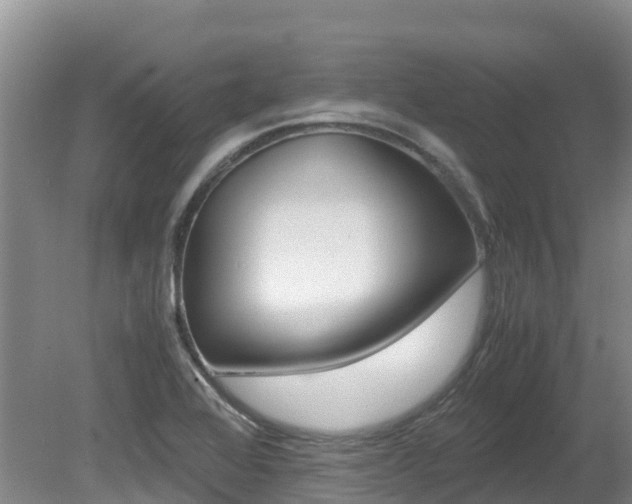 X0000080711368200612150851