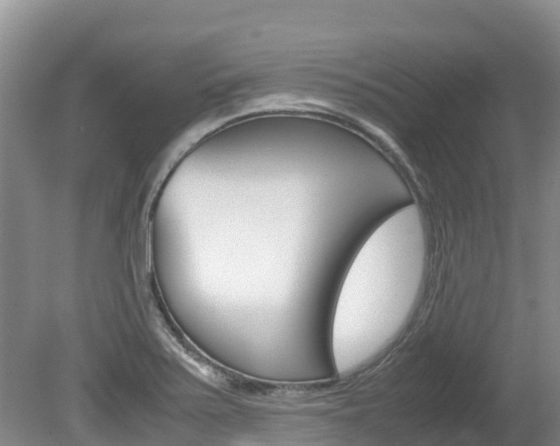 X0000080711371200612150851