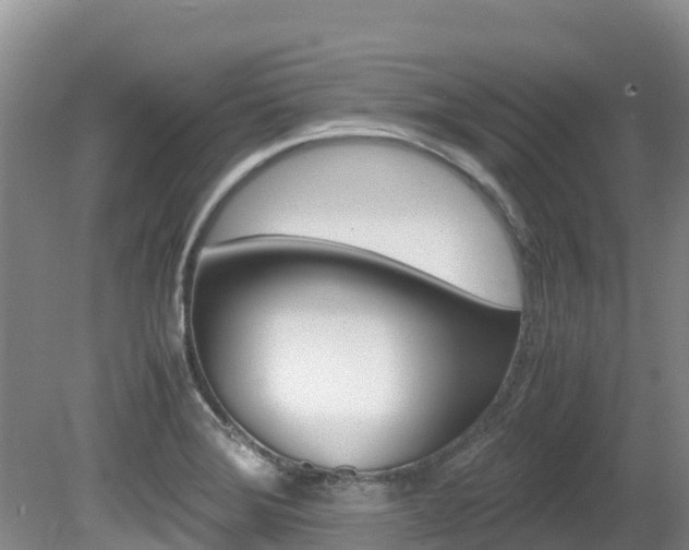 X0000080711372200612150851