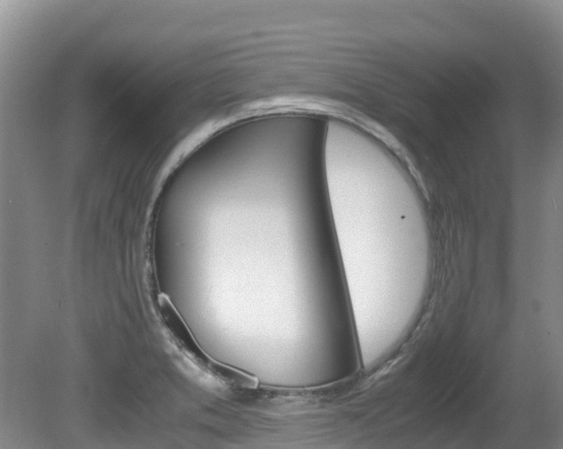 X0000080711373200612150851
