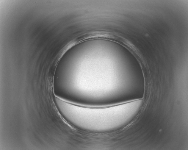X0000080711377200612150851