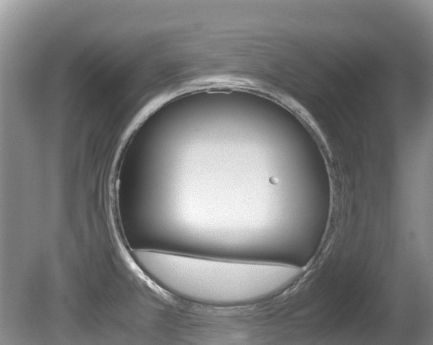 X0000080711381200612150851