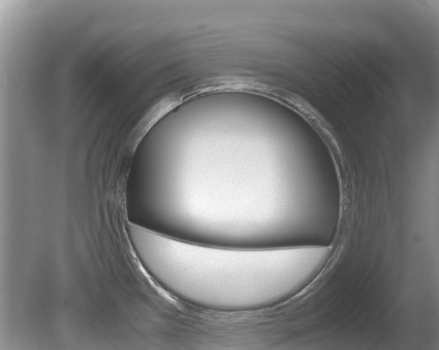 X0000080711385200612150851