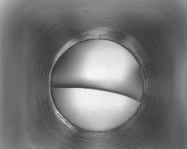 X0000080711386200612150851