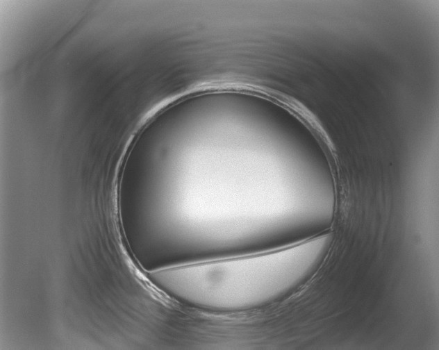 X0000080711388200612150851