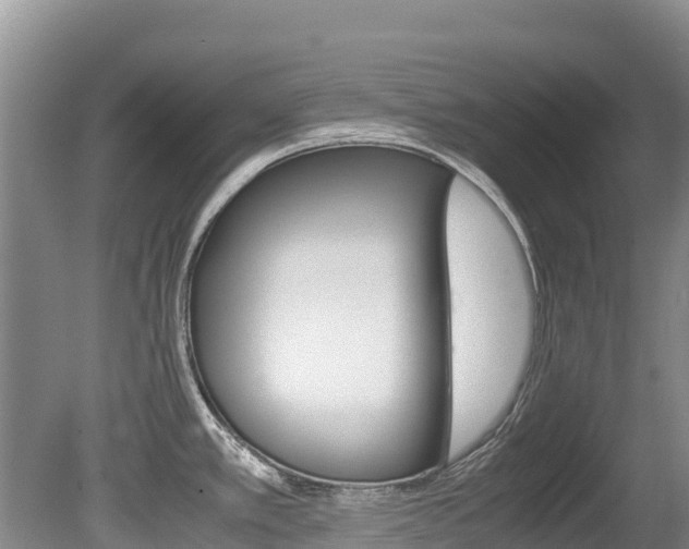 X0000080711389200612150851
