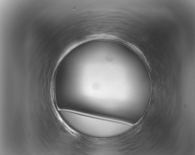 X0000080711391200612150851