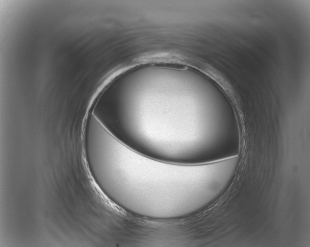 X0000080711392200612150851