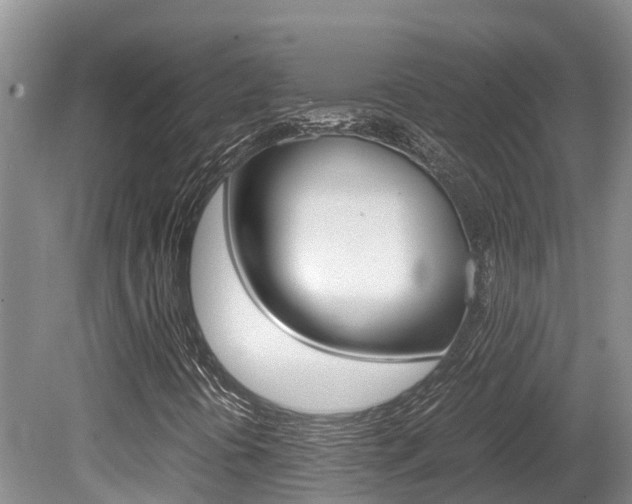 X0000080711394200612150850