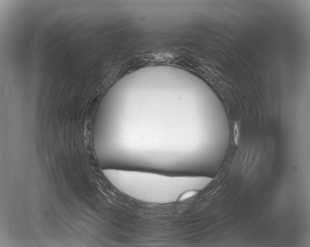 X0000080711395200612150850