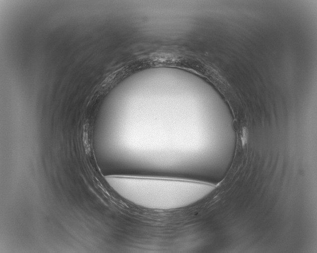 X0000080711396200612150850