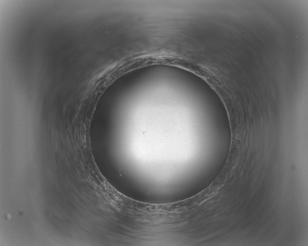 X0000080711398200612150850