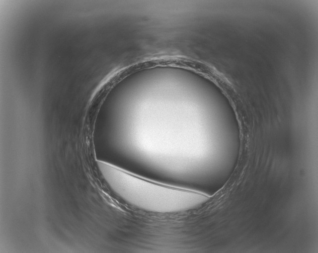 X0000080711400200612150850