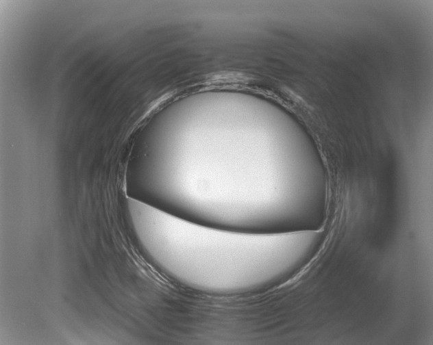 X0000080711401200612150850