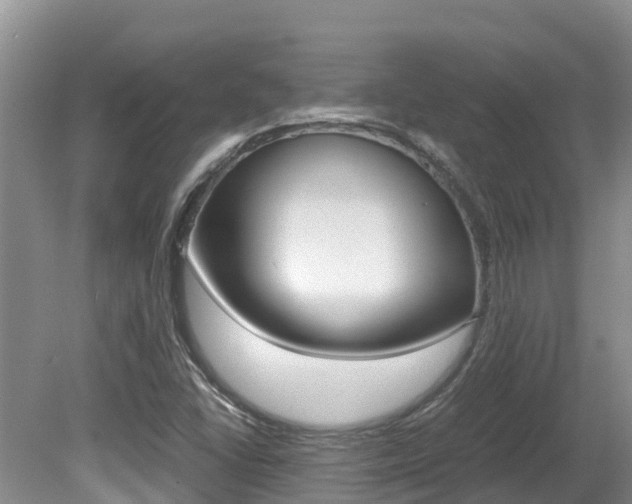 X0000080711406200612150850