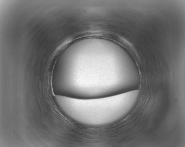 X0000080711411200612150851