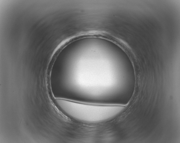 X0000080711412200612150851