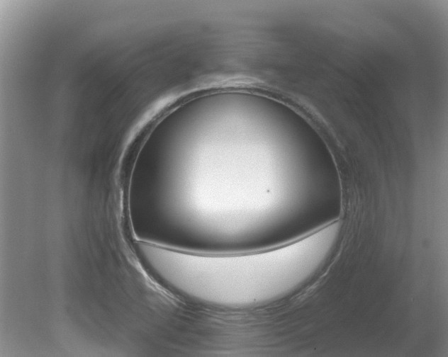 X0000080711414200612150851