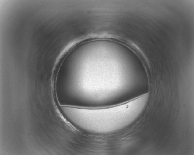 X0000080711416200612150851
