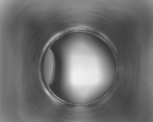 X0000080711418200612150851