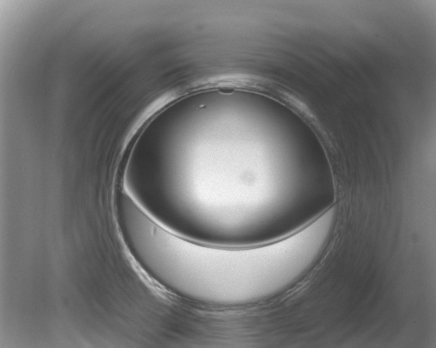X0000080711426200612150851