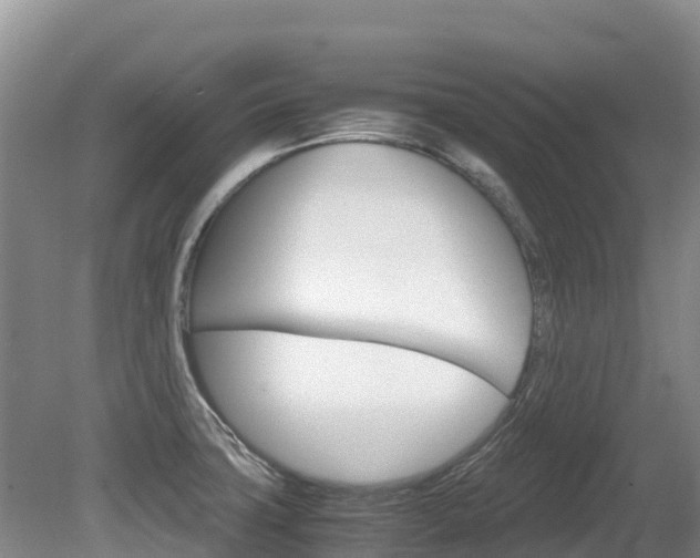 X0000080711427200612150851