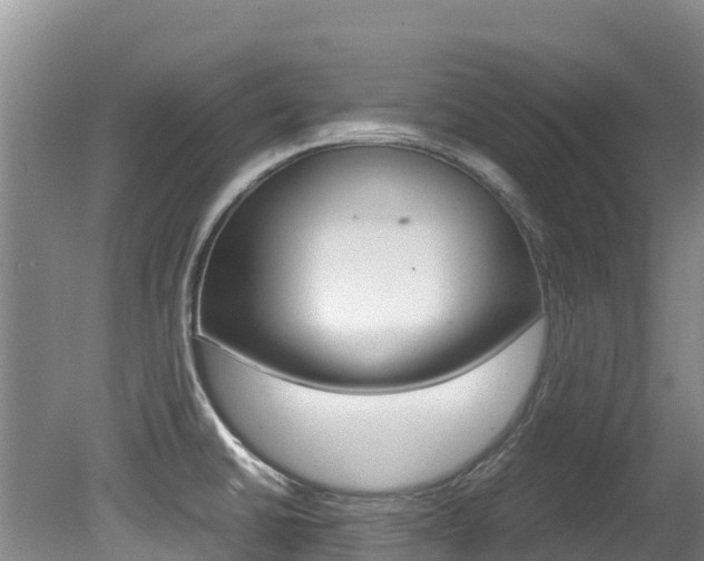 X0000080711430200612150851