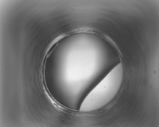 X0000080711434200612150851