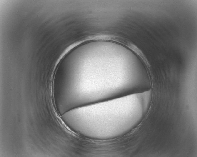 X0000080711436200612150851