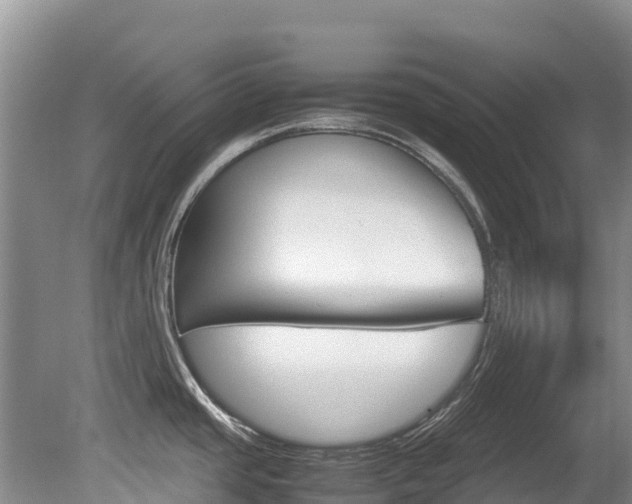 X0000080711437200612150851