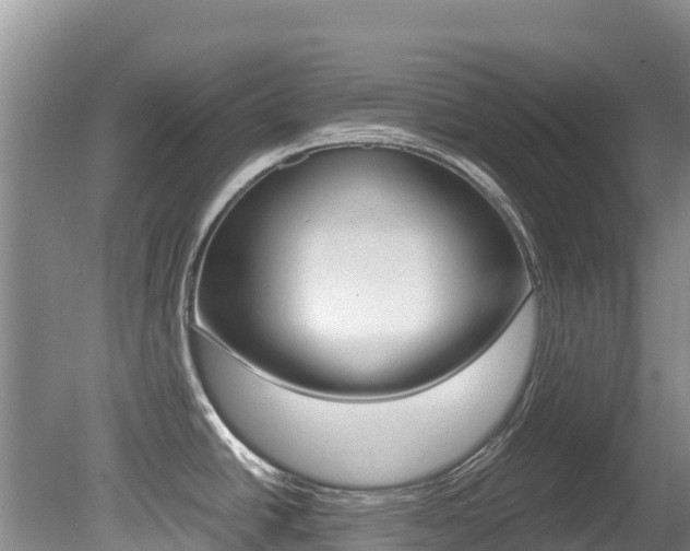X0000080711438200612150851