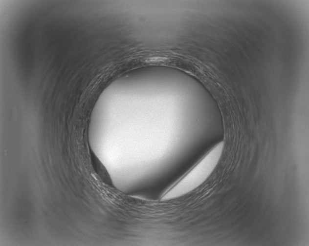X0000080711441200612150850