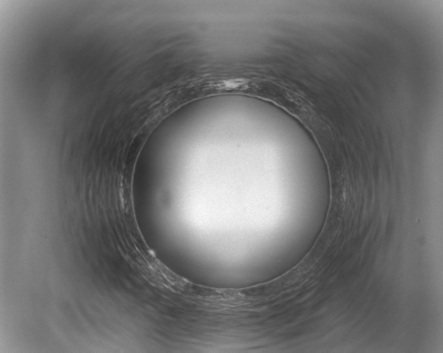 X0000080711442200612150850