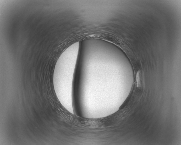 X0000080711443200612150850