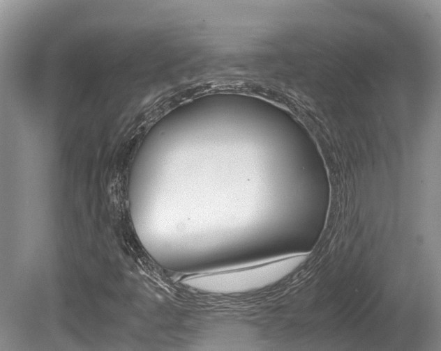 X0000080711445200612150850