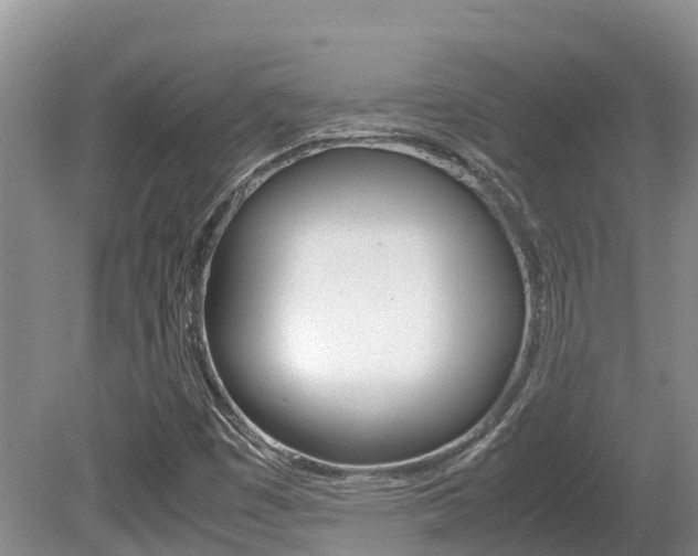 X0000080711449200612150850
