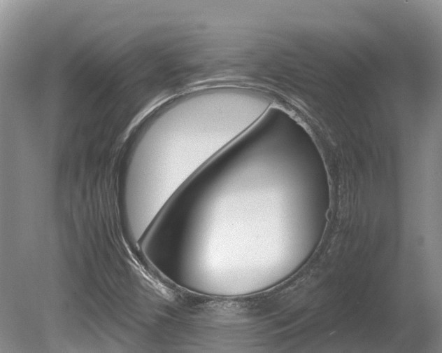 X0000080711450200612150850