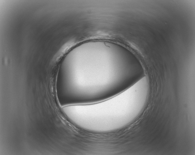 X0000080711455200612150850