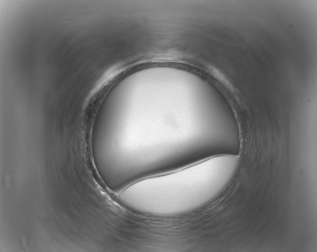 X0000080711456200612150850